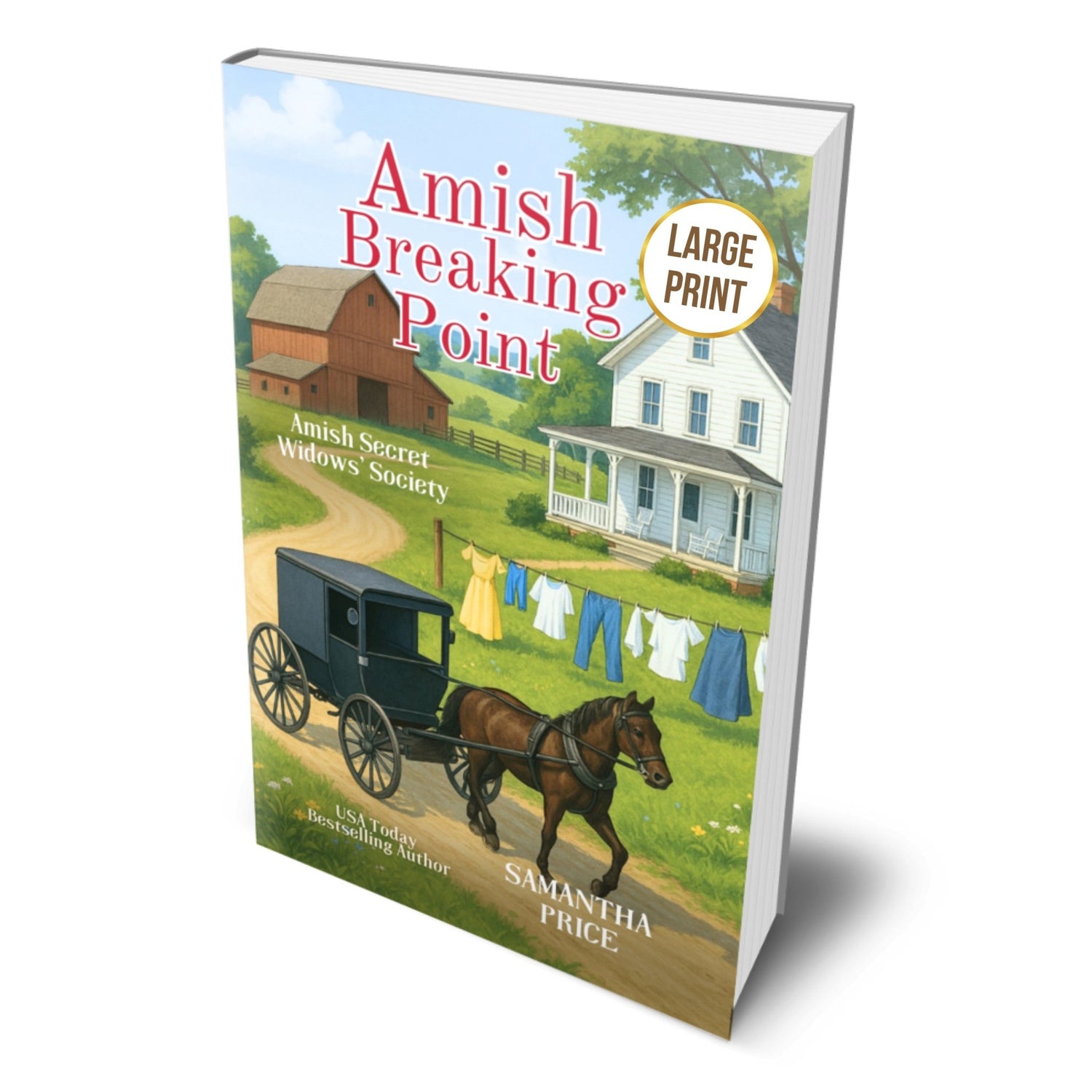 Amish Breaking Point (Large Print PAPERBACK) - samanthapriceshop