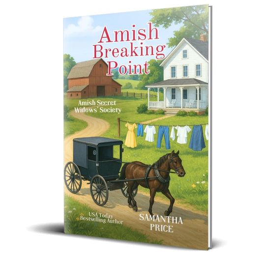 Amish Breaking Point (PAPERBACK) - samanthapriceshop