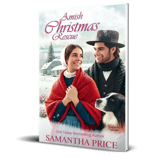 Amish Christmas Rescue (PAPERBACK) - samanthapriceshop