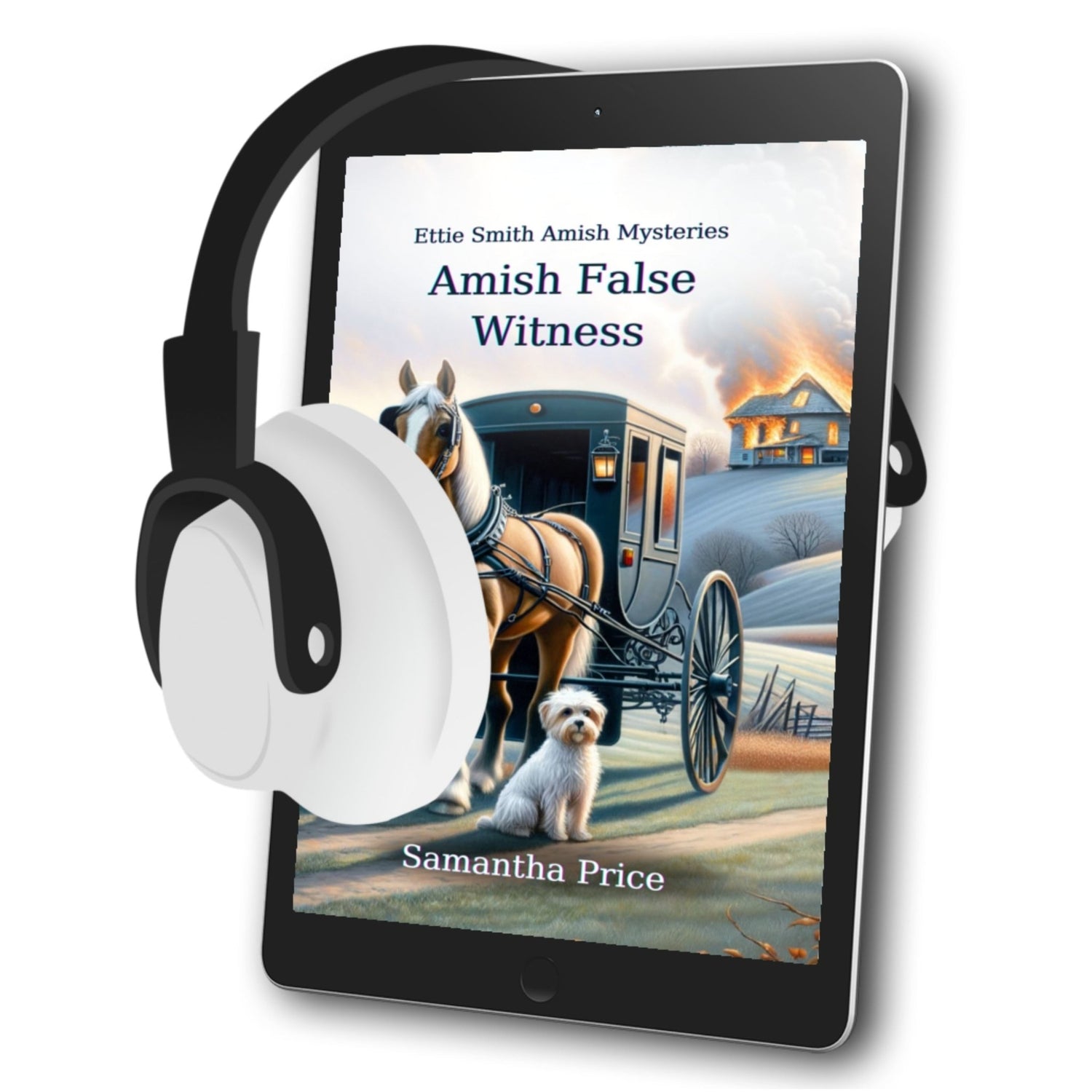 Amish False Witness (AUDIOBOOK) - samanthapriceshop