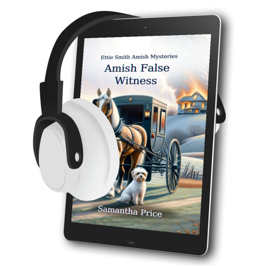 Amish False Witness (AUDIOBOOK) - samanthapriceshop