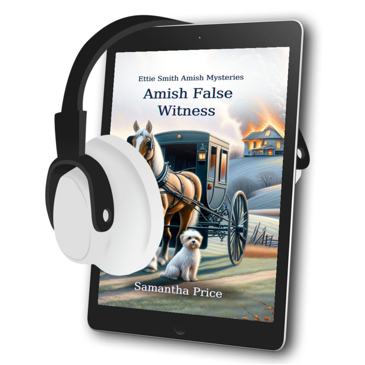 Amish False Witness (AUDIOBOOK) - samanthapriceshop