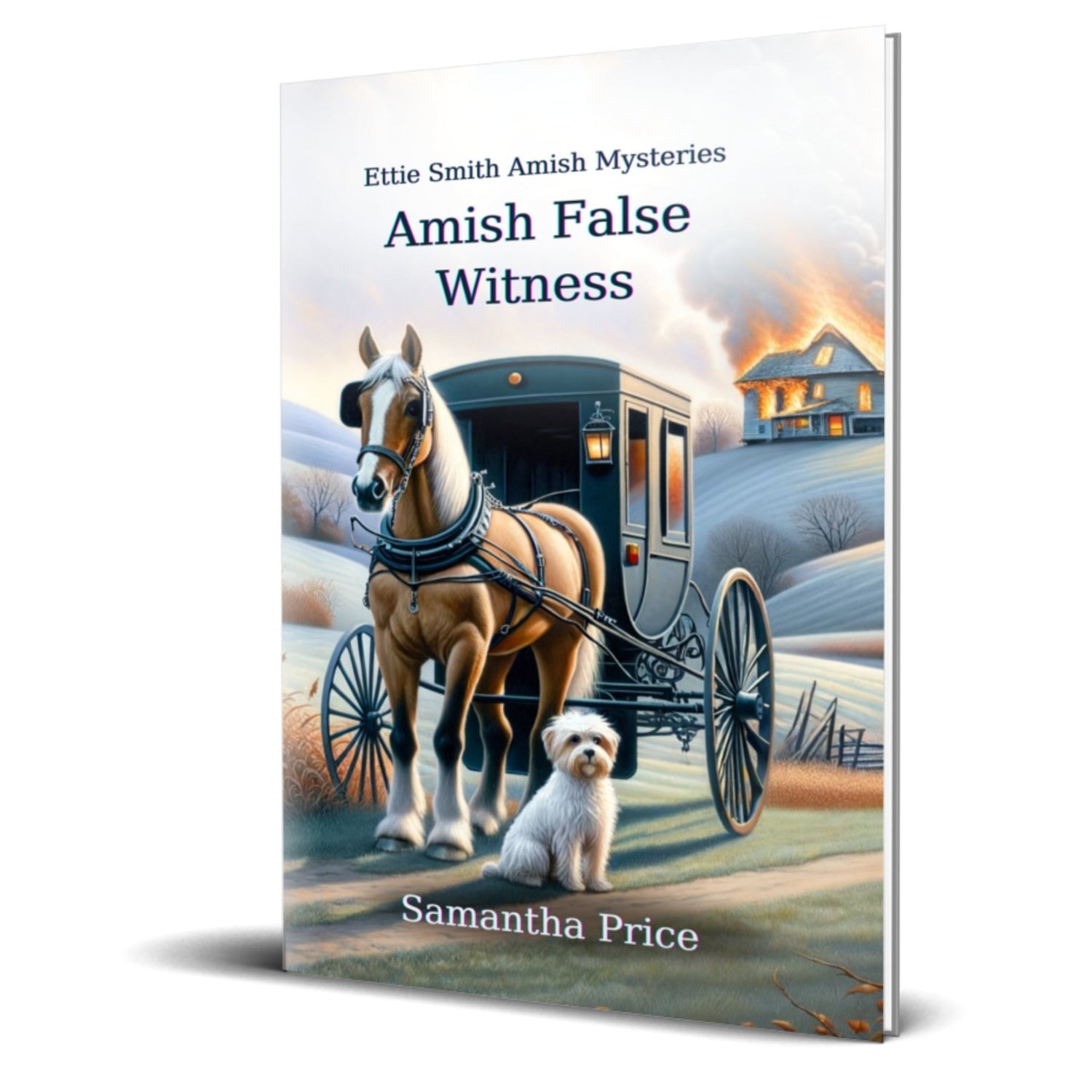 Amish False Witness (PAPERBACK) - samanthapriceshop