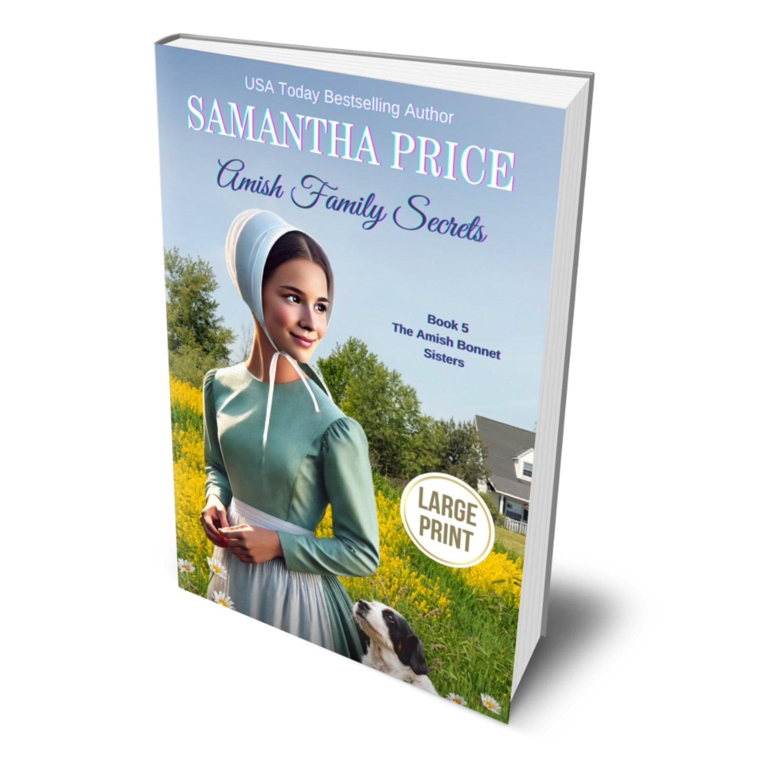 Amish Family Secrets (LARGE PRINT PAPERBACK) - samanthapriceshop