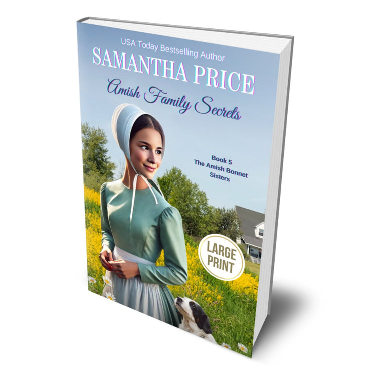 Amish Family Secrets (LARGE PRINT PAPERBACK) - samanthapriceshop