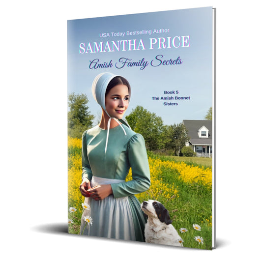 Amish Family Secrets (PAPERBACK) - samanthapriceshop