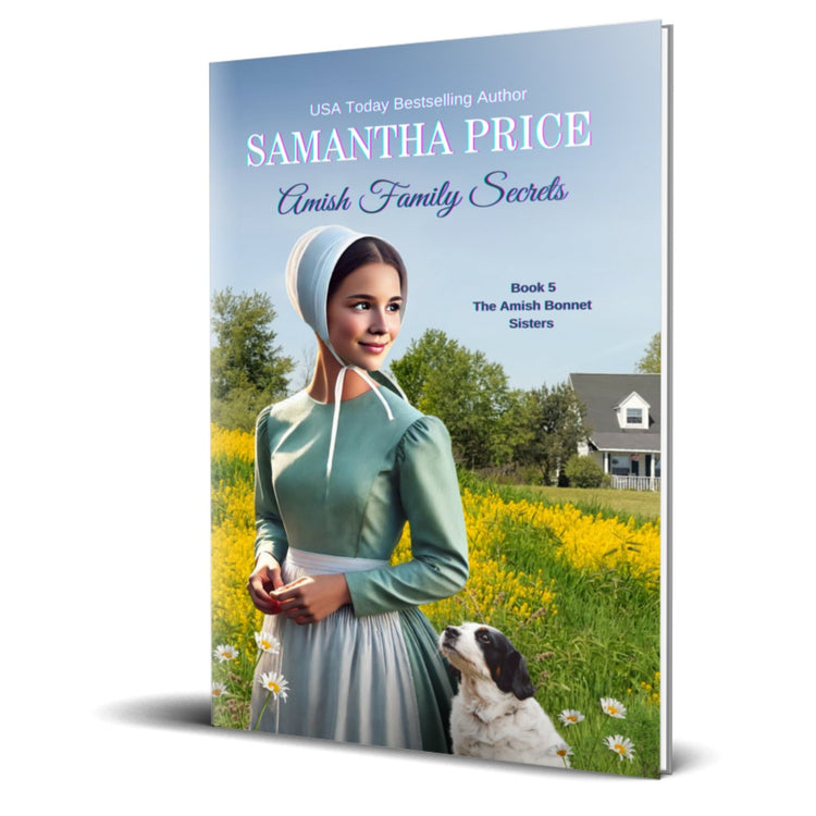 Amish Family Secrets (PAPERBACK) - samanthapriceshop
