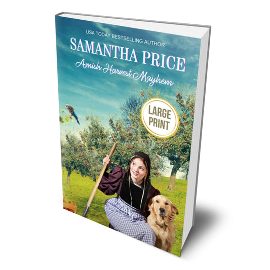 Amish Harvest Mayhem (LARGE PRINT PAPERBACK) - samanthapriceshop