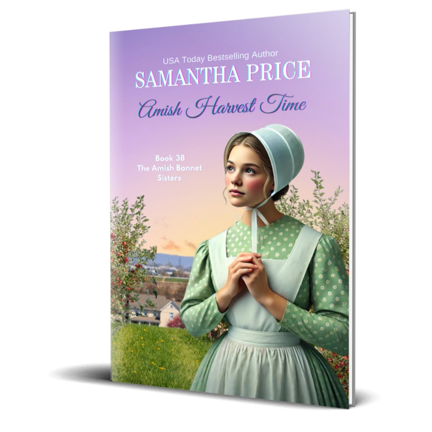 Amish Harvest Time (PAPERBACK) - samanthapriceshop