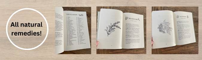 Amish Herbal and Natural Remedies (Hardcover) - samanthapriceshop