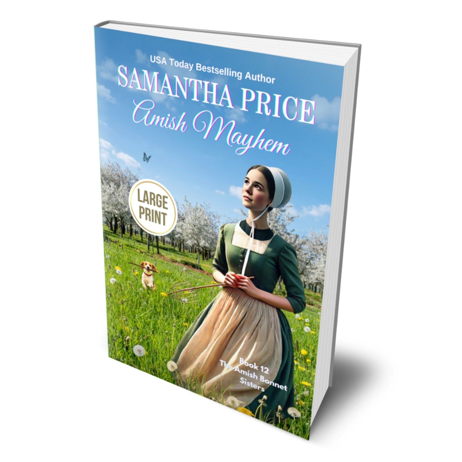 Amish Mayhem (LARGE PRINT PAPERBACK) - samanthapriceshop
