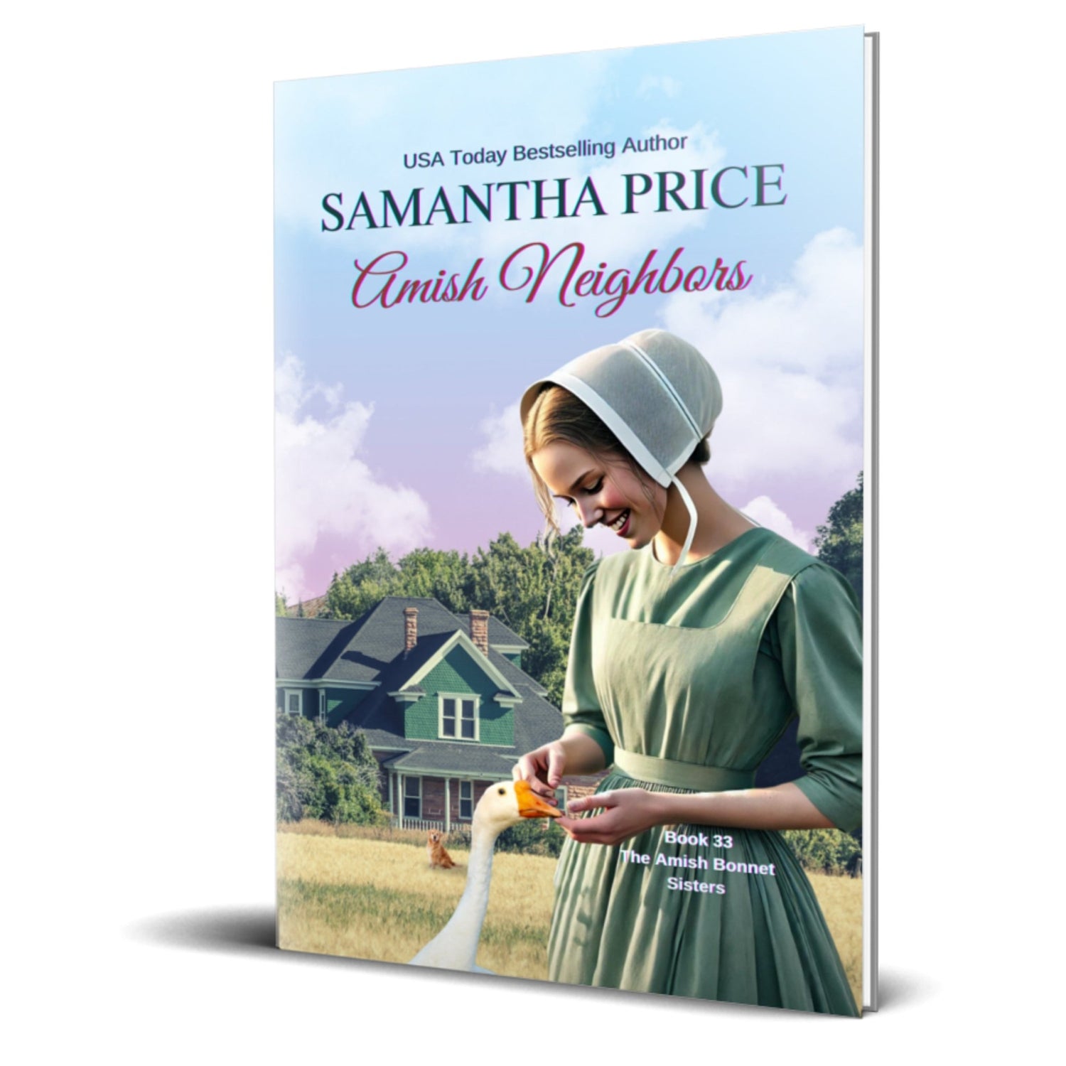 Amish Neighbors (PAPERBACK) - samanthapriceshop