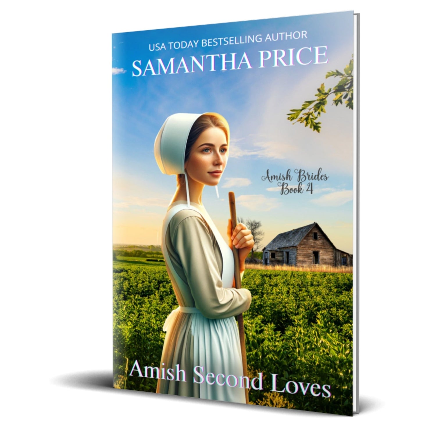 Amish Second Loves (PAPERBACK) - samanthapriceshop