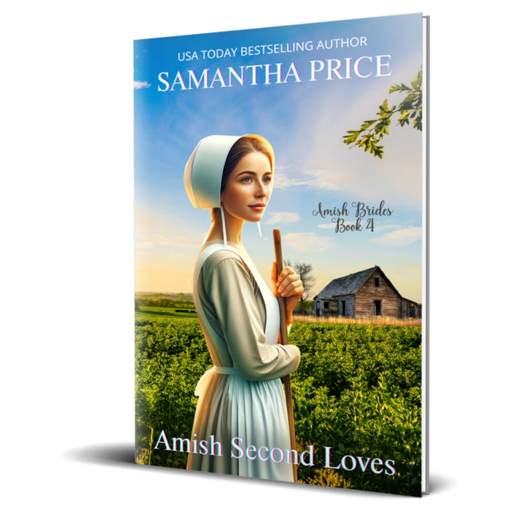 Amish Second Loves (PAPERBACK) - samanthapriceshop