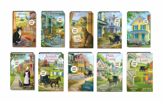 Amish Secret Widows' Society - Full Series (LARGE PRINT PAPERBACKS BUNDLE) - samanthapriceshop