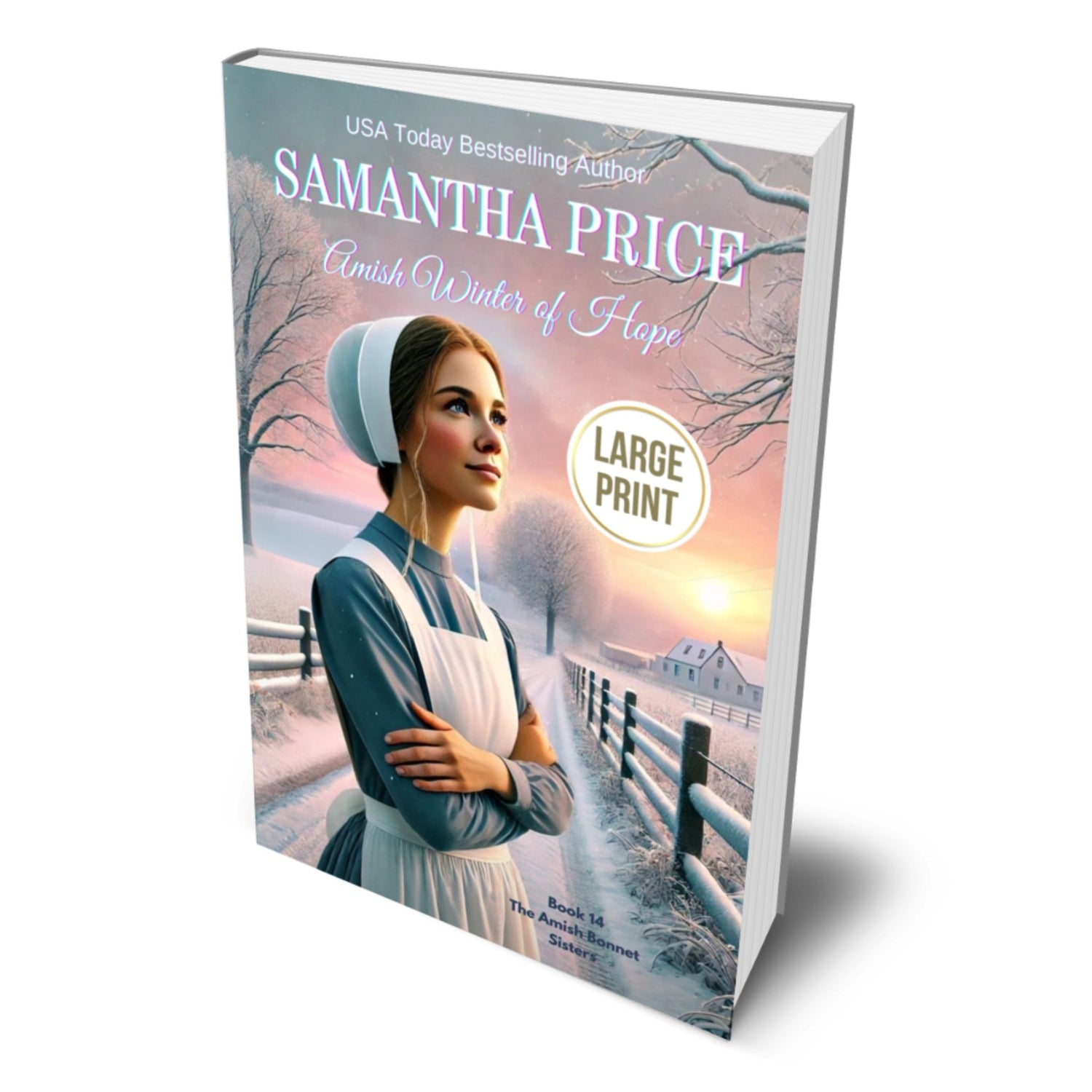 Amish Winter of Hope (LARGE PRINT PAPERBACK) - samanthapriceshop