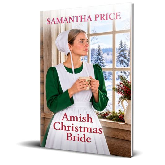 amish christmas bride paperback book
