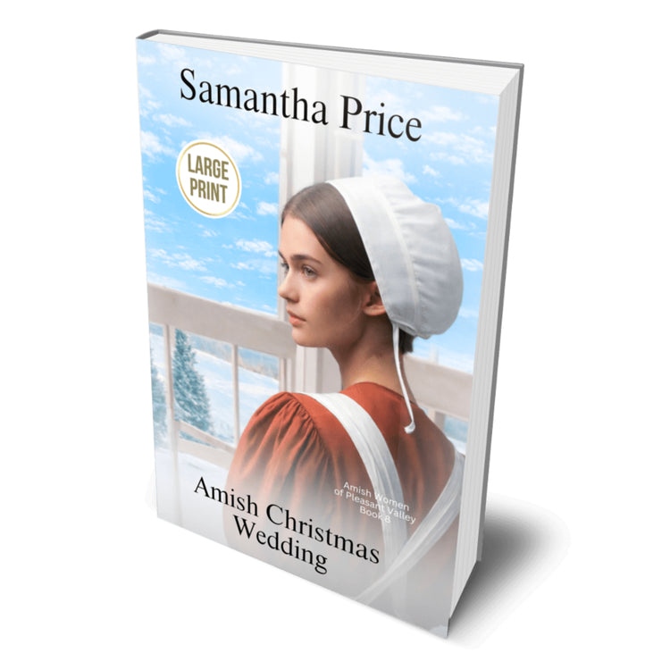 Book titled 'Anish Christmas Wedding' by Samantha Price with a large print label on a white background