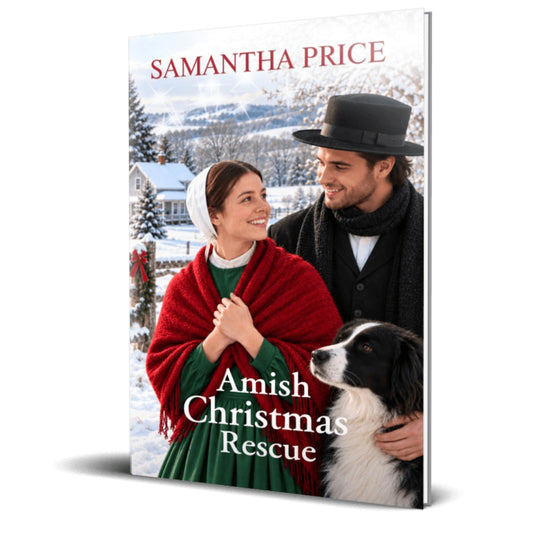 amish christmas rescue paperback book
