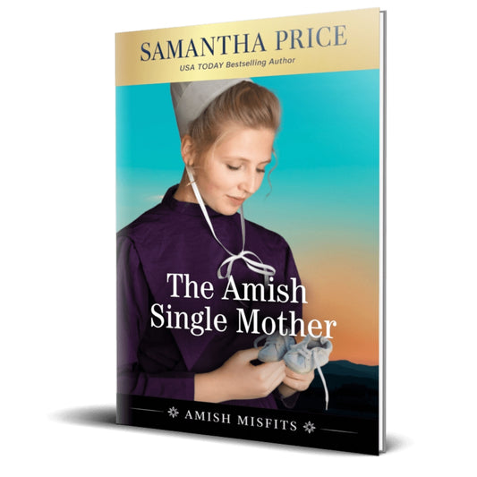 The Amish Single Mother cover