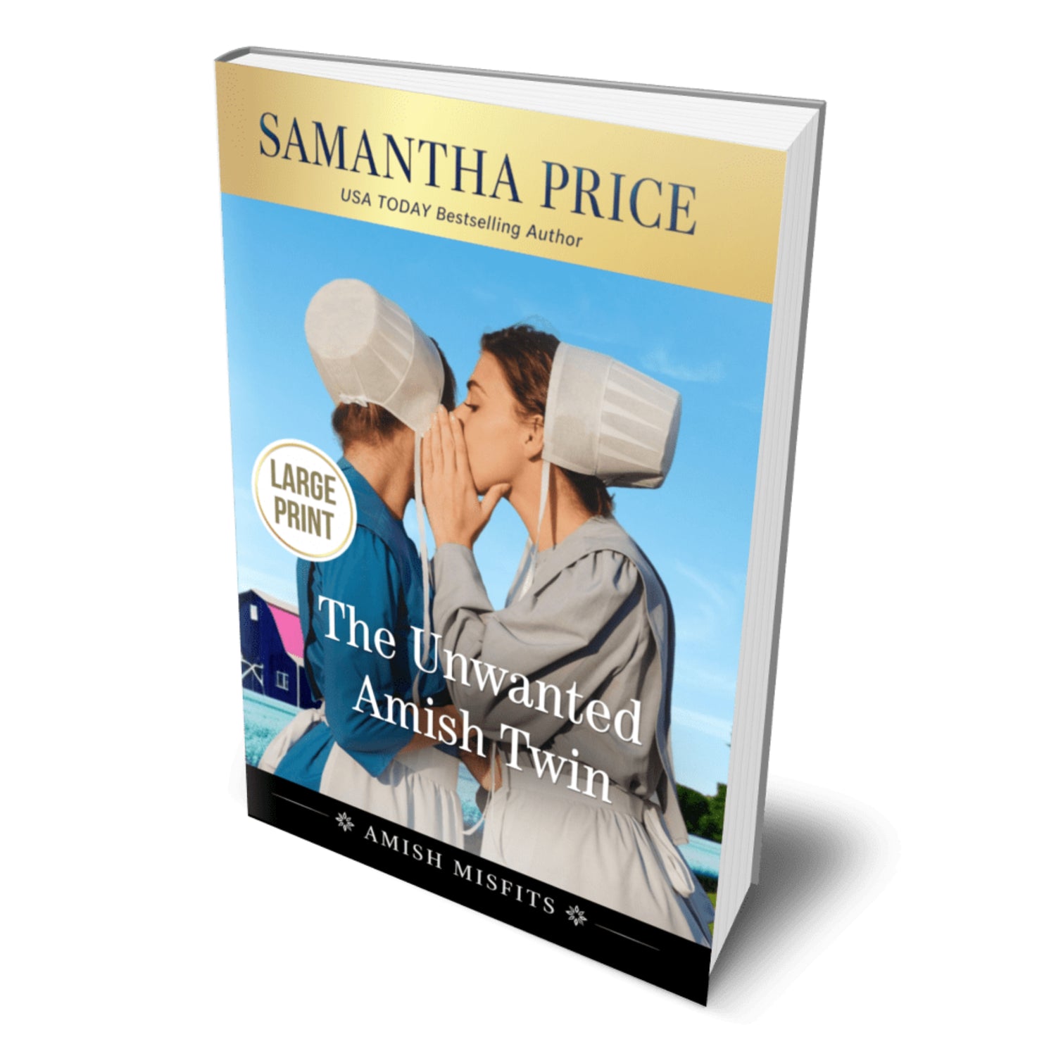 cover for the unwanted amish twin, large print paperback