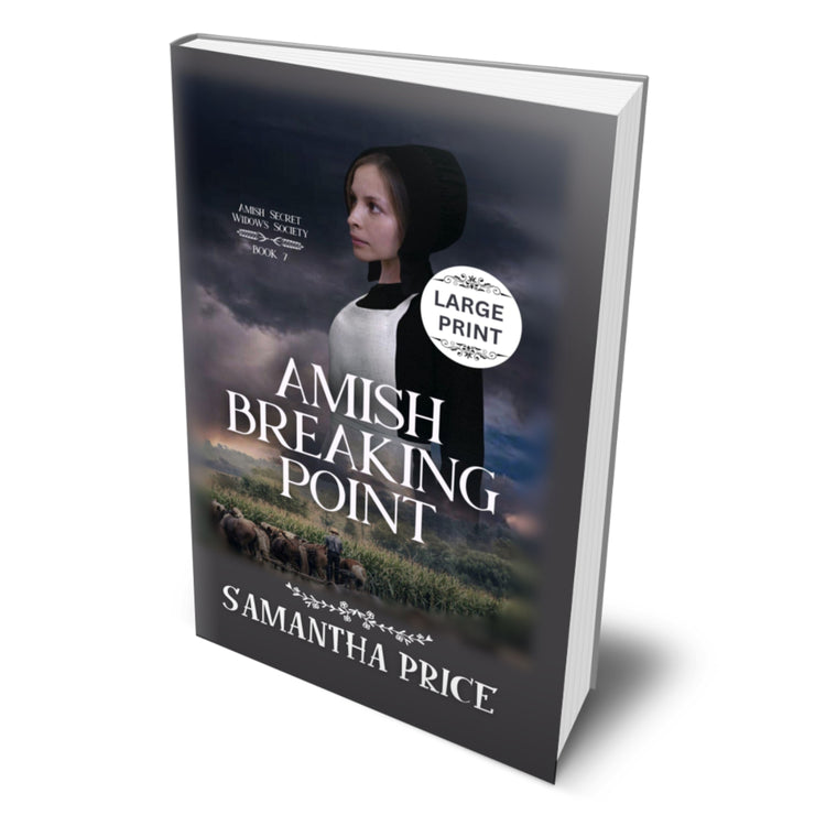 Amish Breaking Point (Large Print PAPERBACK)