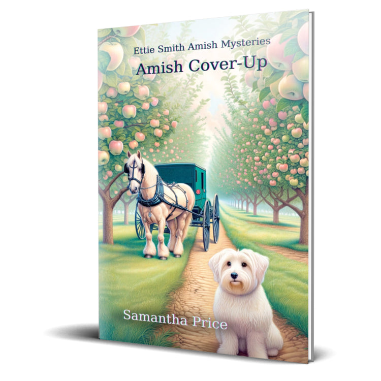 Amish Cover-Up (PAPERBACK)