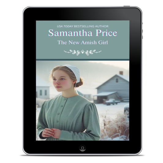 The New Amish Girl (EBOOK)