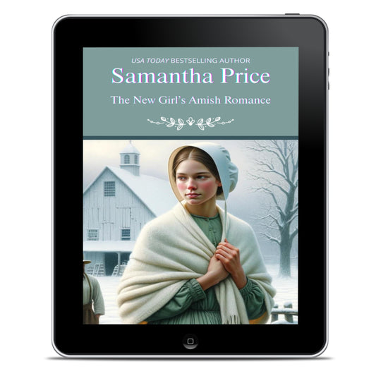 The New Girl's Amish Romance (EBOOK)