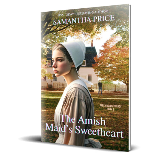 The Amish Maid's Sweetheart (PAPERBACK)