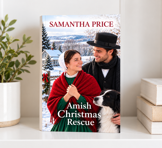 Amish Christmas rescue paperback book