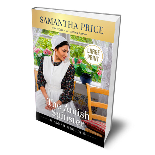 book 2 amish misfits large print book