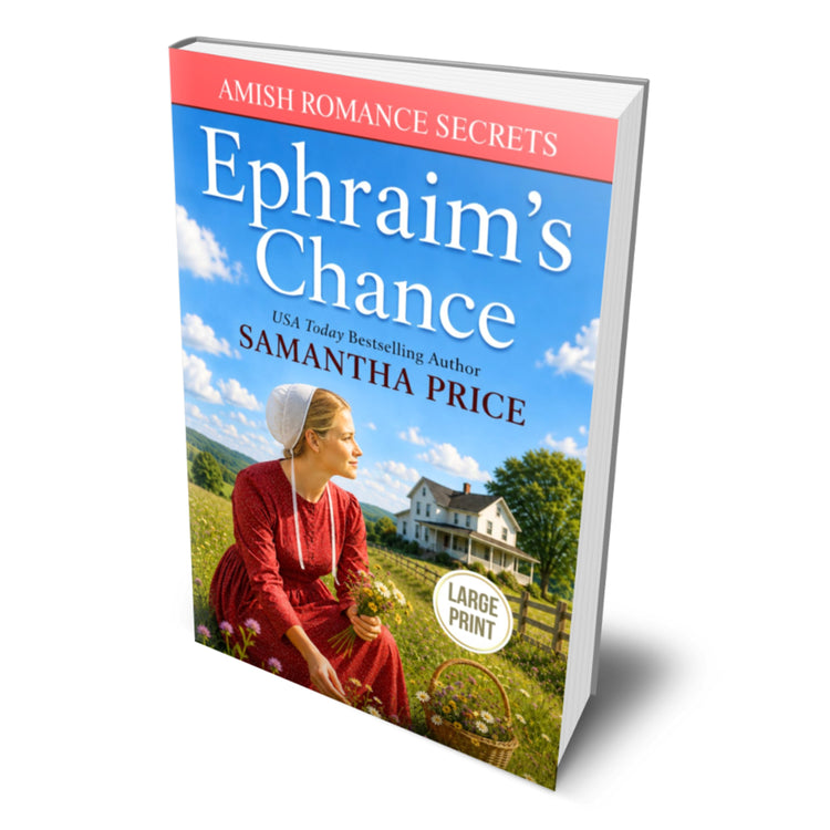 A 3D book mockup of 'Ephraim's Chance' by Samantha Price, showing the front cover with a red title banner, a blue sky background, and an illustration of a woman in a red dress sitting in a field.