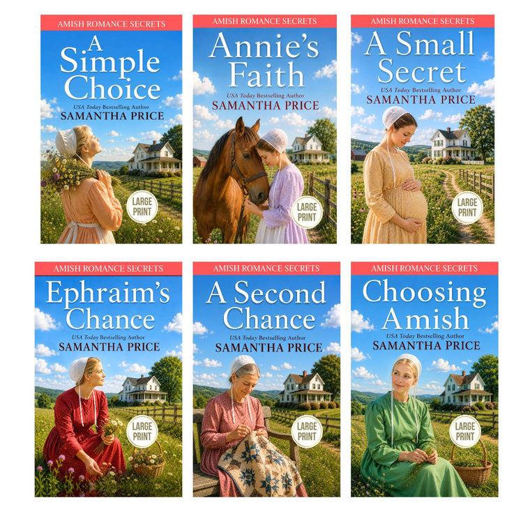 bundle of books in the amish romance secrets series large print editions