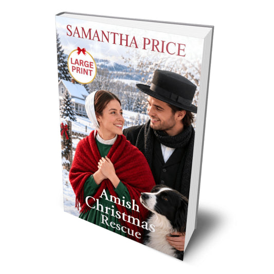 large print amish romance books