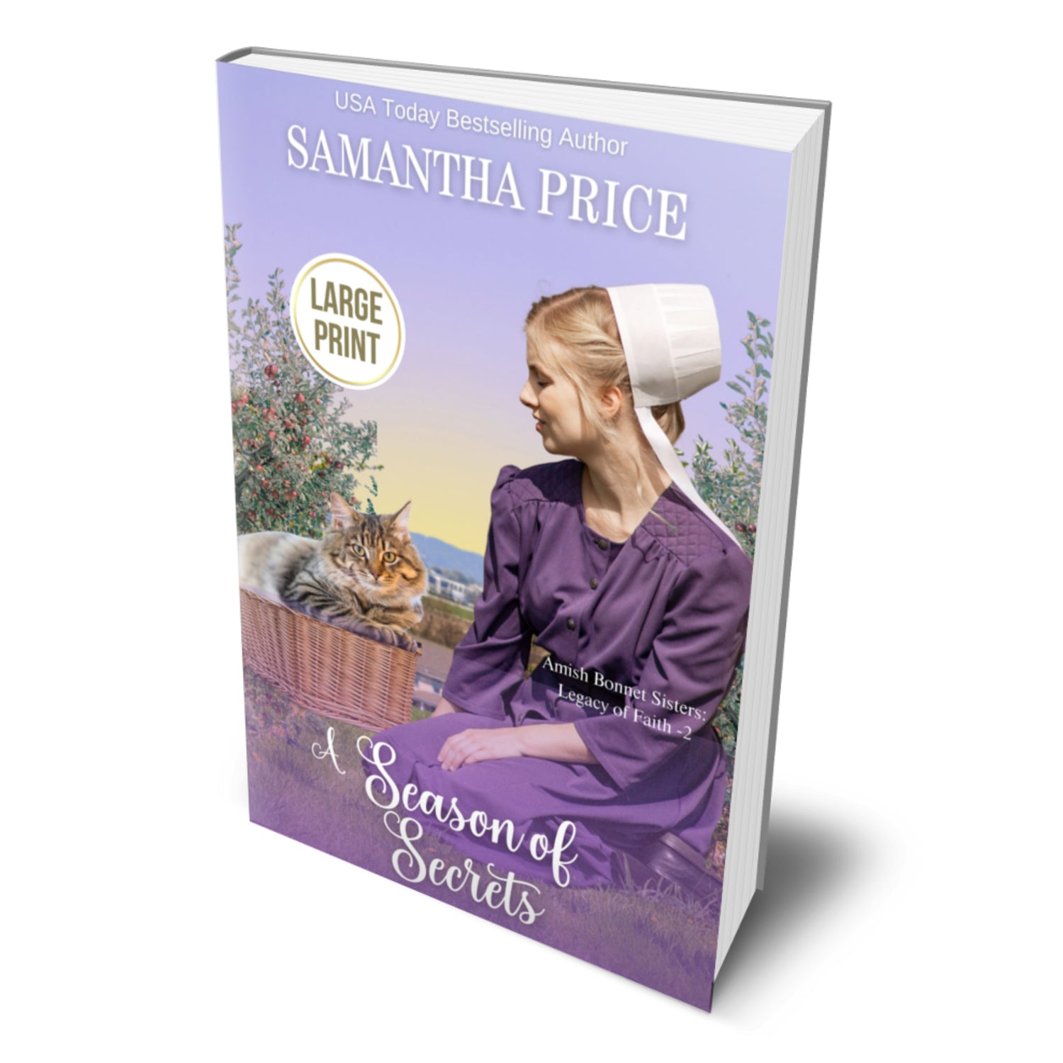 A Season of Secrets (LARGE PRINT PAPERBACK)
