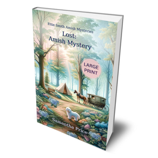 LOST (LARGE PRINT PAPERBACK) - samanthapriceshop