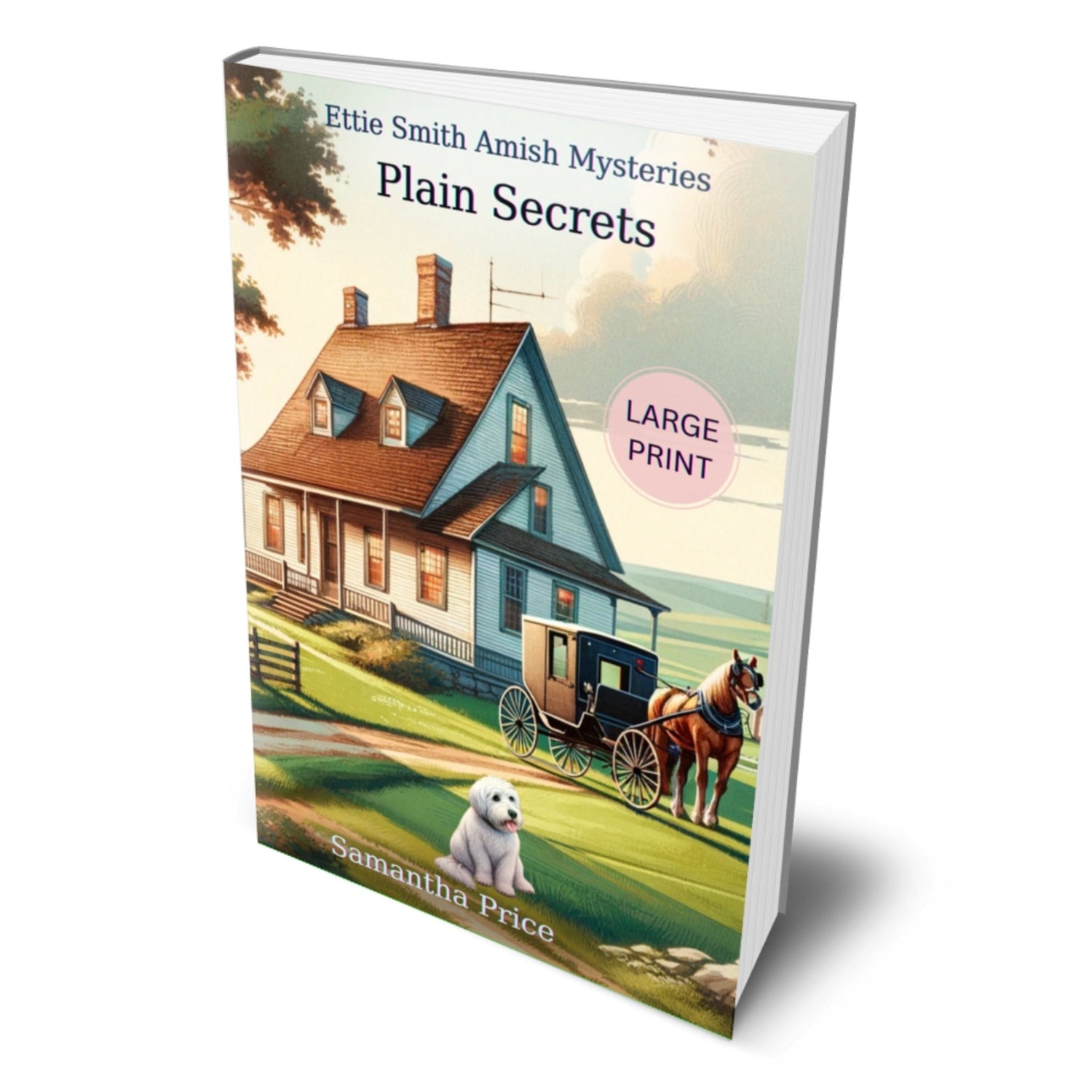 Plain Secrets (LARGE PRINT PAPERBACK) - samanthapriceshop