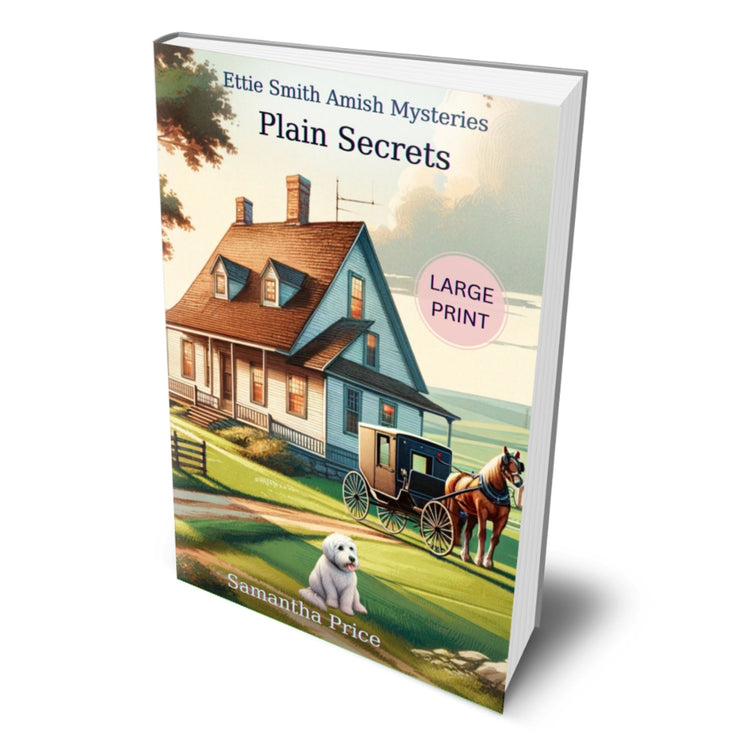 Plain Secrets (LARGE PRINT PAPERBACK) - samanthapriceshop