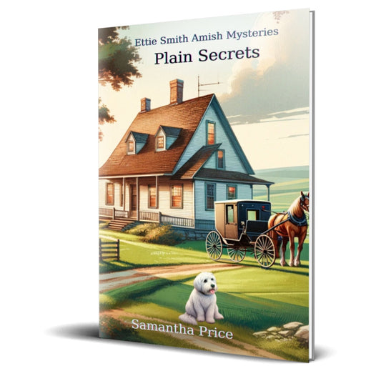 Plain Secrets (PAPERBACK) - samanthapriceshop