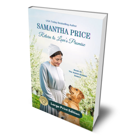 Return to Love's Promise (Large Print Paperback) - samanthapriceshop