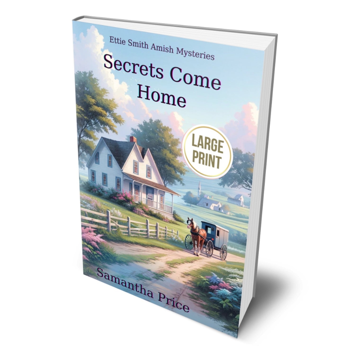 Secrets Come Home (LARGE PRINT PAPERBACK) - samanthapriceshop