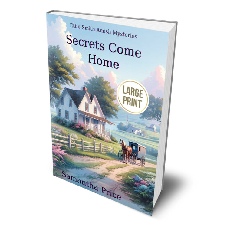 Secrets Come Home (LARGE PRINT PAPERBACK) - samanthapriceshop