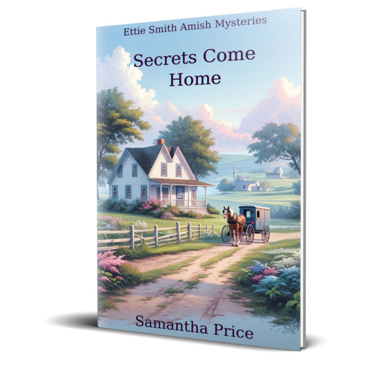 Secrets Come Home (PAPERBACK) - samanthapriceshop