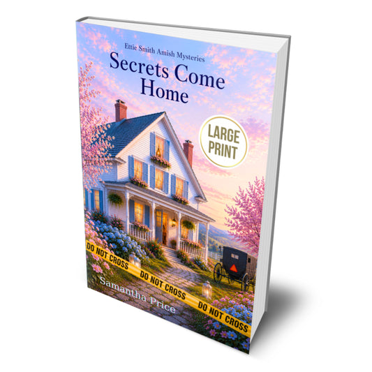 Book titled 'Secrets Come Home' with a cover featuring a house and carriage, on a white background.