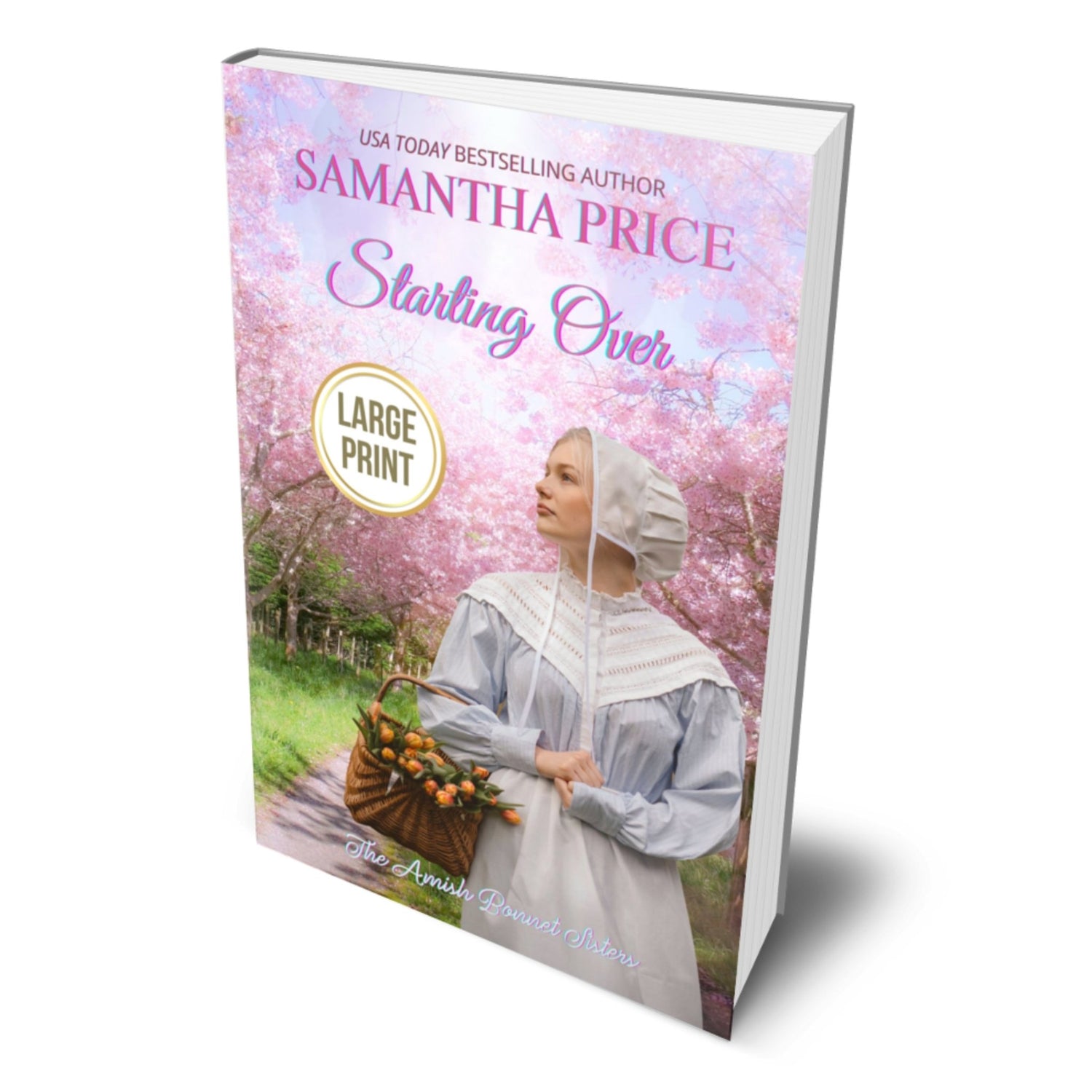 Starting Over (LARGE PRINT PAPERBACK) - samanthapriceshop