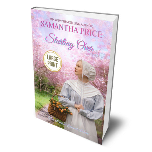 Starting Over (LARGE PRINT PAPERBACK) - samanthapriceshop