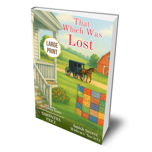 That Which Was Lost (Large Print PAPERBACK) - samanthapriceshop