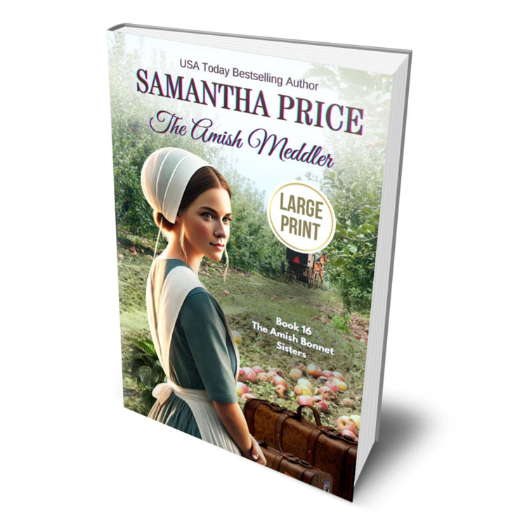 The Amish Meddler (LARGE PRINT PAPERBACK) - samanthapriceshop