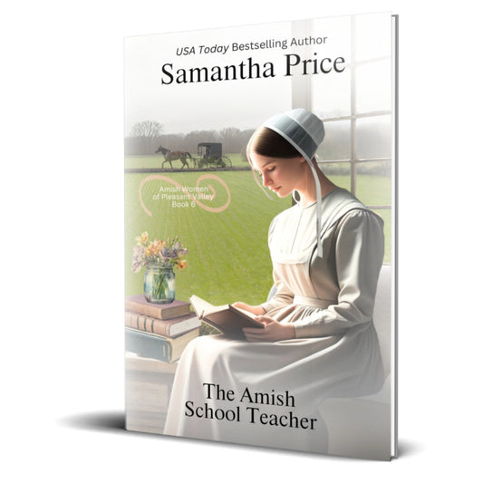 The Amish School Teacher (PAPERBACK) - samanthapriceshop